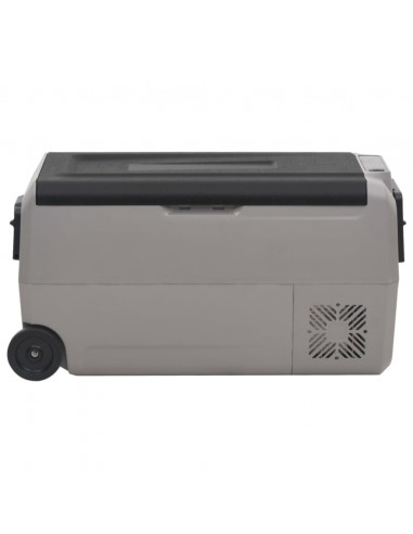 Borsa Frigo con Ruote e Adattatore Nera e Grigia 36 L PP e PE