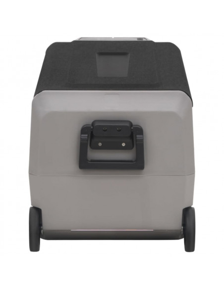Borsa Frigo con Ruote e Adattatore Nera e Grigia 36 L PP e PE
