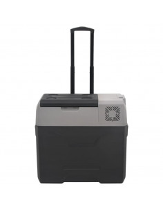 Borsa Frigo con Ruote Adattatore Nera Grigia 40 L Polipropilene 2