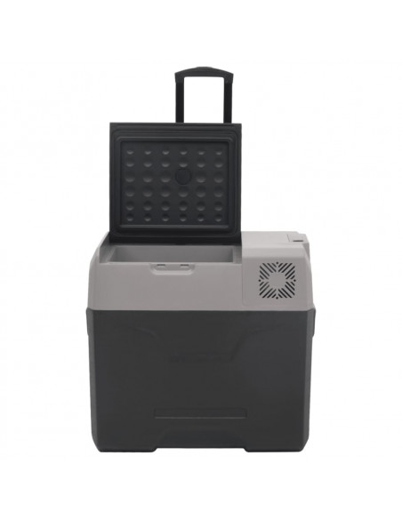 Borsa Frigo con Ruote Adattatore Nera Grigia 40 L Polipropilene