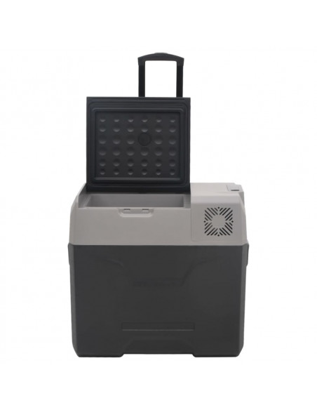 Borsa Frigo con Ruote Adattatore Nera Grigia 30 L Polipropilene