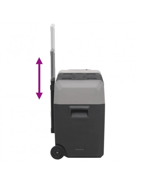 Borsa Frigo con Ruote Adattatore Nera Grigia 50 L Polipropilene