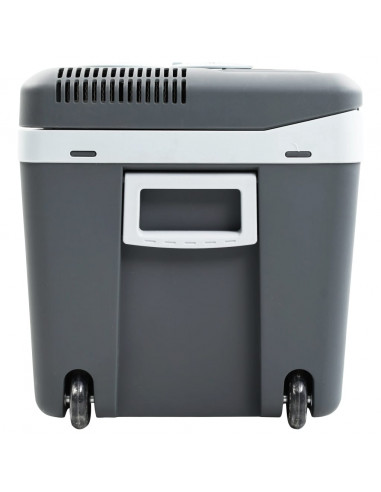 Scatola Termoelettrica Portatile 40 L 12 V 230 V E