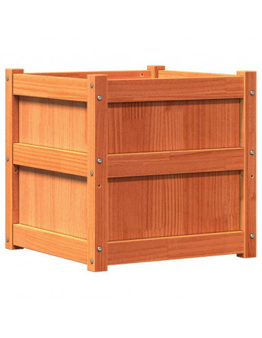 Fioriera Giardino Marrone Cera 50x50x50 cm Legno Massello Pino