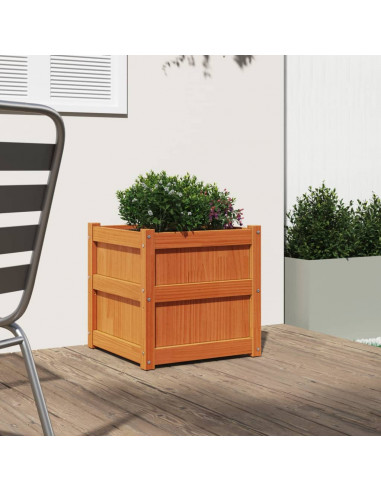 Fioriera Giardino Marrone Cera 50x50x50 cm Legno Massello Pino