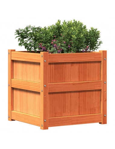 Fioriera Giardino Marrone Cera 50x50x50 cm Legno Massello Pino