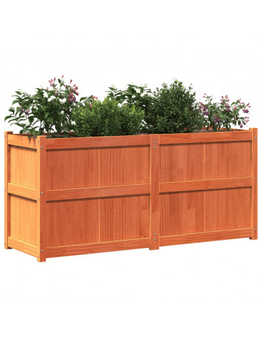 Fioriera Giardino Marrone Cera 150x50x70 cm Legno Massello Pino