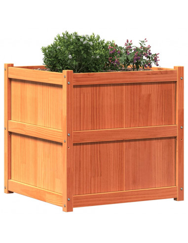 Fioriera Giardino Marrone Cera 70x70x70 cm Legno Massello Pino