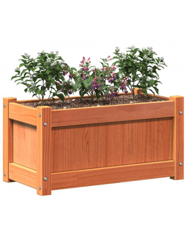 Fioriera Giardino Marrone Cera 60x31x31 cm Legno Massello Pino