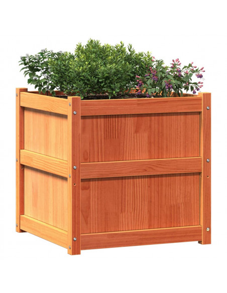 Fioriera Giardino Marrone Cera 60x60x60 cm Legno Massello Pino