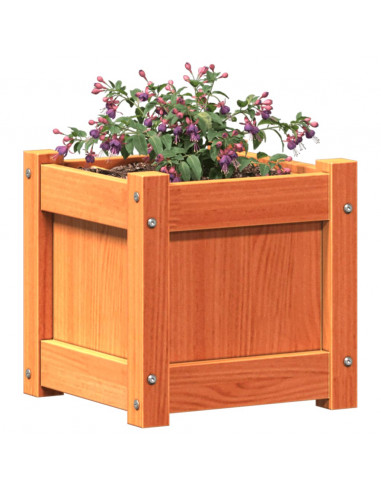 Fioriera Giardino Marrone Cera 31x31x31 cm Legno Massello Pino