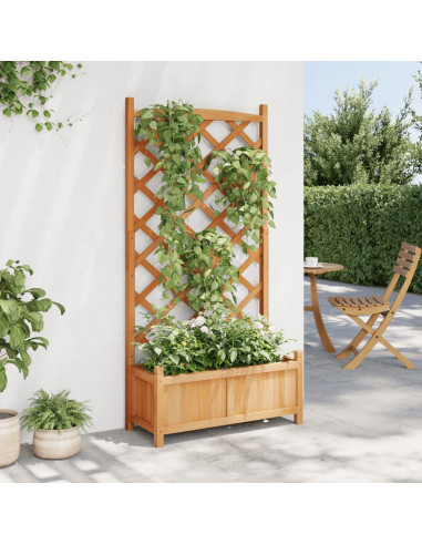 Fioriera con Traliccio Marrone in Legno Massello di Abete