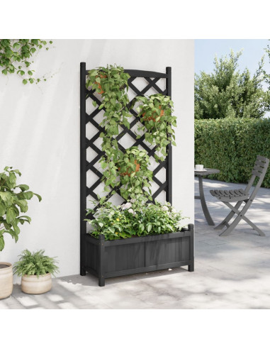 Fioriera con Traliccio Nera in Legno Massello di Abete