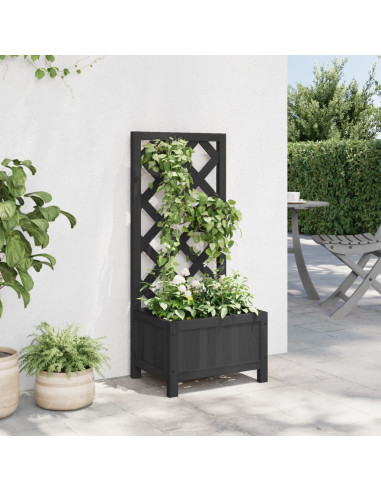 Fioriera con Traliccio Nera in Legno Massello di Abete