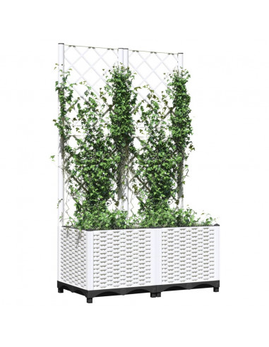 Fioriera da Giardino con Graticcio Bianco 80x40x136 cm PP