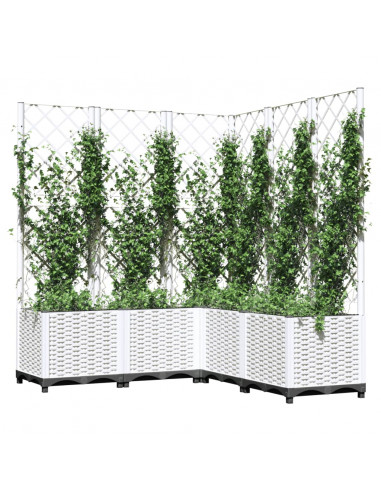 Fioriera da Giardino con Graticcio Bianco 120x120x136 cm PP