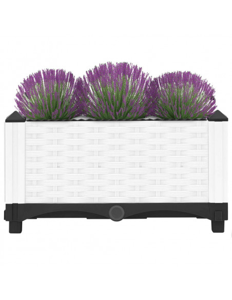 Fioriera Rialzata 40x40x23 cm in Polipropilene