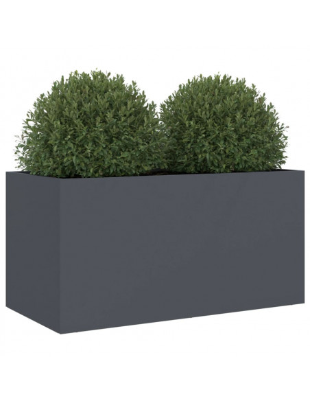 Fioriera Antracite 62x30x29 cm in Acciaio Laminato a Freddo