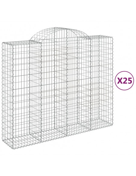 Cesti Gabbioni ad Arco 25 pz 200x50x160/180 cm Ferro Zincato
