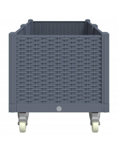 Fioriera da Giardino con Ruote Grigia 160x50x54 cm in PP