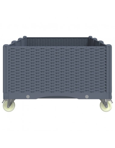 Fioriera da Giardino con Ruote Grigia 150x80x54 cm in PP