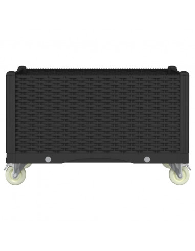 Fioriera da Giardino con Ruote Nera 80x50x54 cm in PP