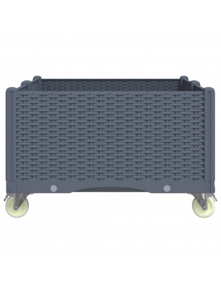 Fioriera da Giardino con Ruote Grigio Blu 100x80x54 cm in PP