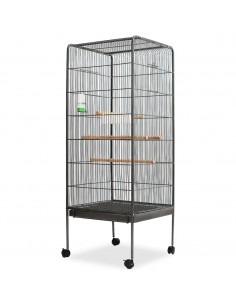 Gabbia per Uccelli Nera 54x54x146 cm in Acciaio 2