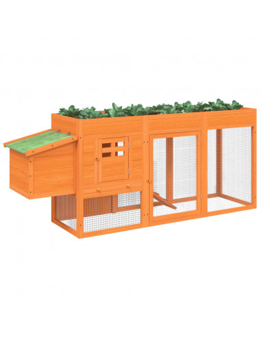 Pollaio Marrone 204x50x84 cm in Legno Massello di Pino