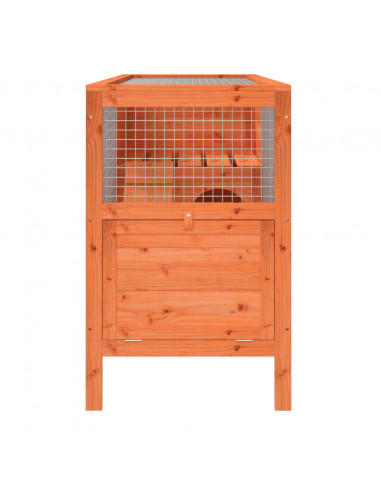 Conigliera Marrone 103x44x69,5 cm in Legno Massello di Pino