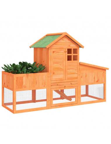 Conigliera Marrone 170x63x113 cm in Legno Massello di Pino