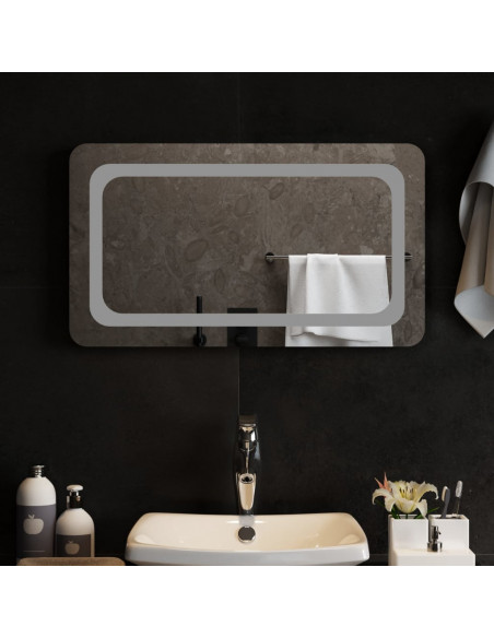 Specchio da Bagno con Luci LED 70x40 cm