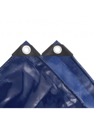 Telone 650 g/m² 5x6 m Blu