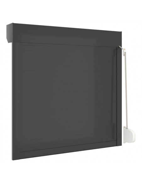 Tapparella Avvolgibile in Alluminio 100x100 cm Antracite