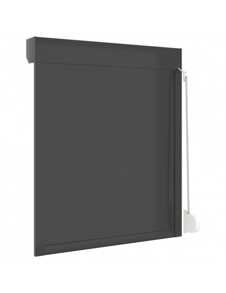 Tapparella Avvolgibile in Alluminio 100x120 cm Antracite