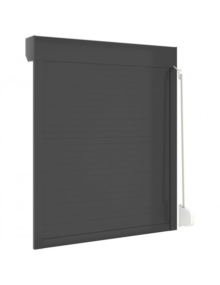Tapparella Avvolgibile in Alluminio 100x130 cm Antracite