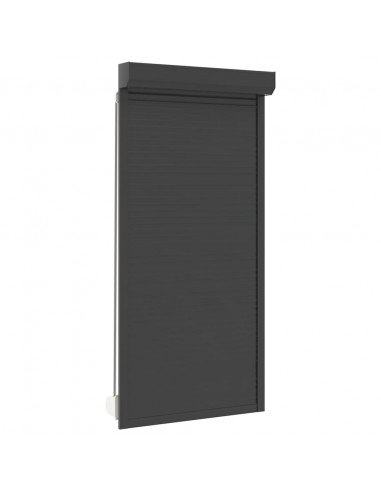 Tapparella Avvolgibile in Alluminio 100x210 cm Antracite