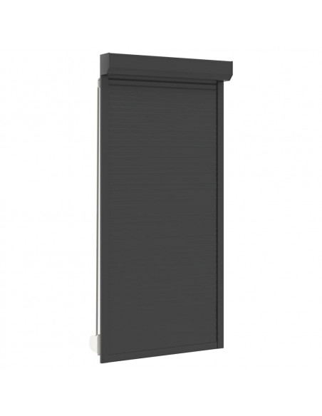 Tapparella Avvolgibile in Alluminio 100x210 cm Antracite