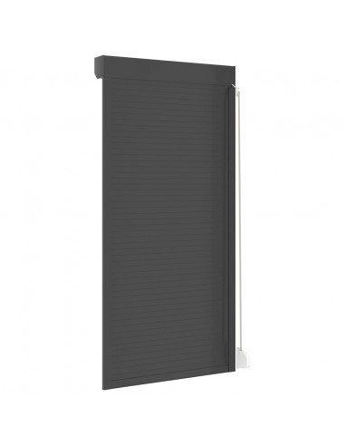 Tapparella Avvolgibile in Alluminio 100x210 cm Antracite