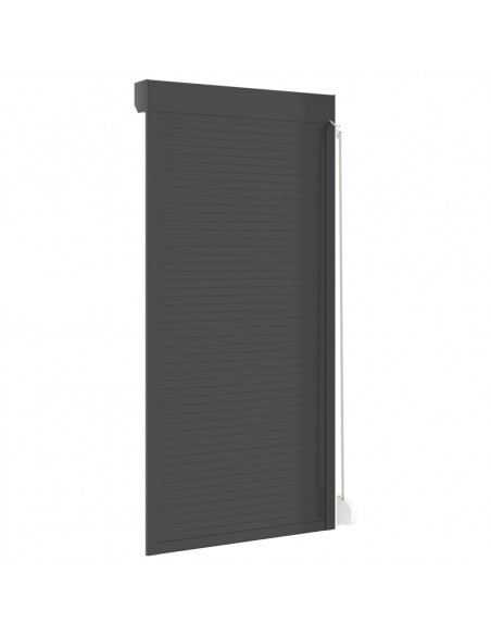 Tapparella Avvolgibile in Alluminio 100x210 cm Antracite