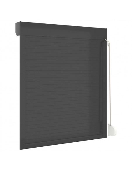 Tapparella Avvolgibile in Alluminio 110x130 cm Antracite