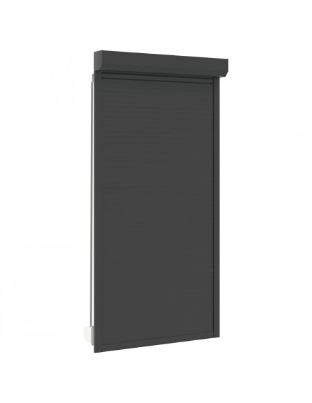 Tapparella Avvolgibile in Alluminio 110x220 cm Antracite