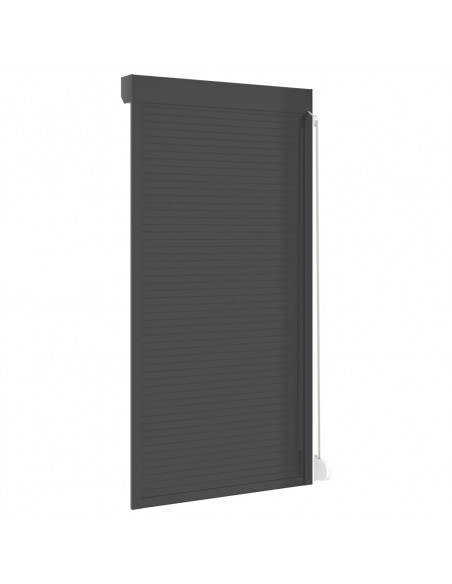 Tapparella Avvolgibile in Alluminio 110x220 cm Antracite