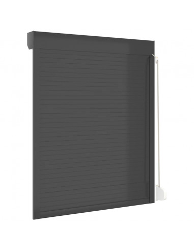 Tapparella Avvolgibile in Alluminio 120x150 cm Antracite