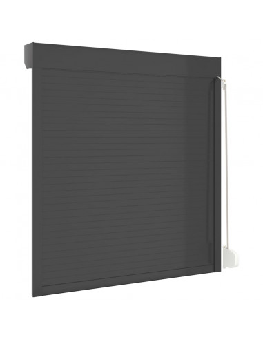 Tapparella Avvolgibile in Alluminio 130x140 cm Antracite