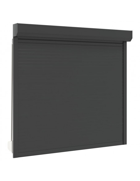 Tapparella Avvolgibile in Alluminio 160x150 cm Antracite