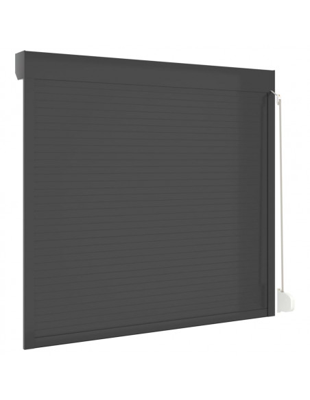 Tapparella Avvolgibile in Alluminio 160x150 cm Antracite