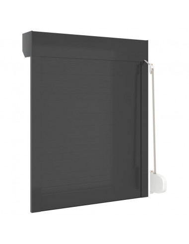 Tapparella Avvolgibile in Alluminio 70x100 cm Antracite