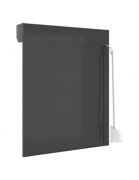Tapparella Avvolgibile in Alluminio 70x100 cm Antracite