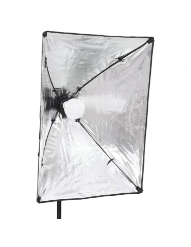 Luci Professionali da Studio 2 pz 40x60 cm